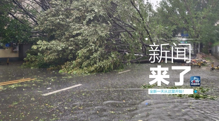 &ldquo;山竹&rdquo;怒過，高空塔吊你還好嗎？