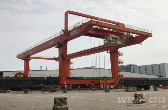 不負(fù)春光，微特人在行動(dòng)