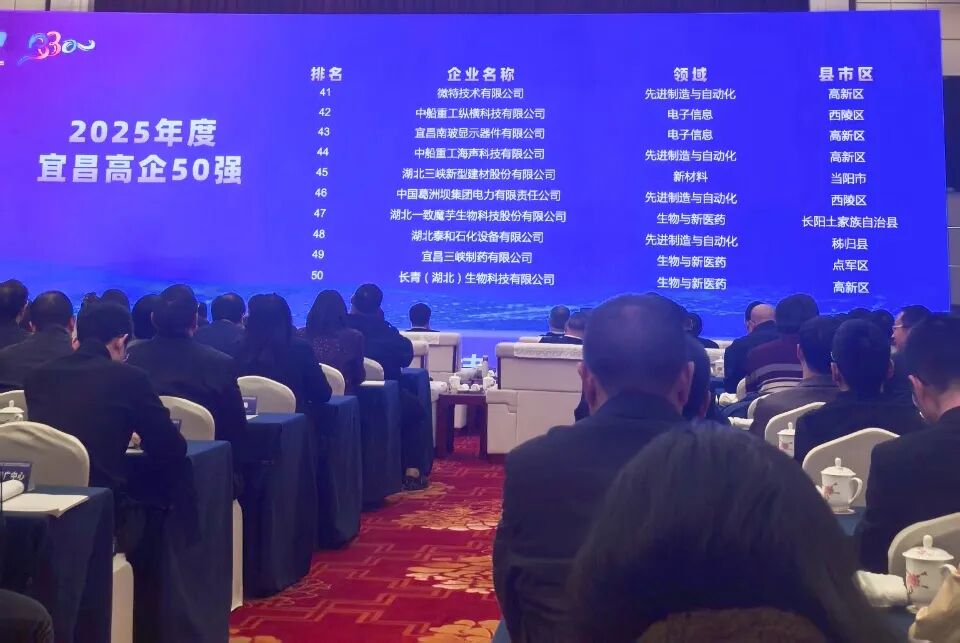 喜報！微特再入選2025年度宜昌市高新技術(shù)企業(yè)50強榜單！